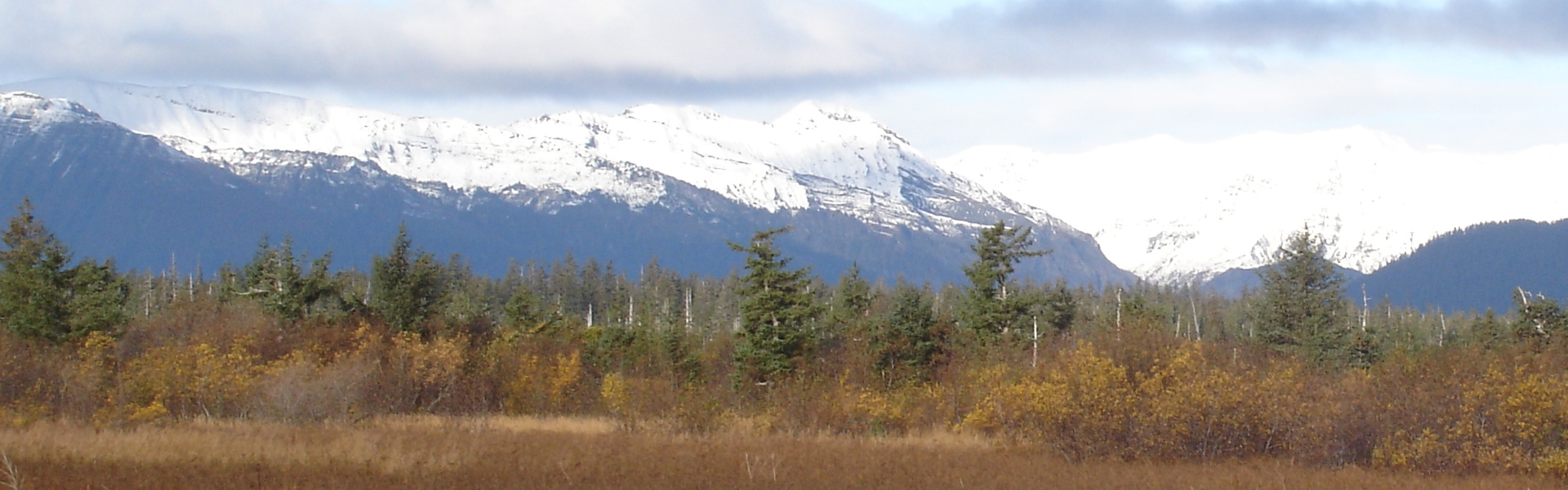 Self Guided Caribou Hunts in Alaska Self Guided Caribou Hunts in Alaska