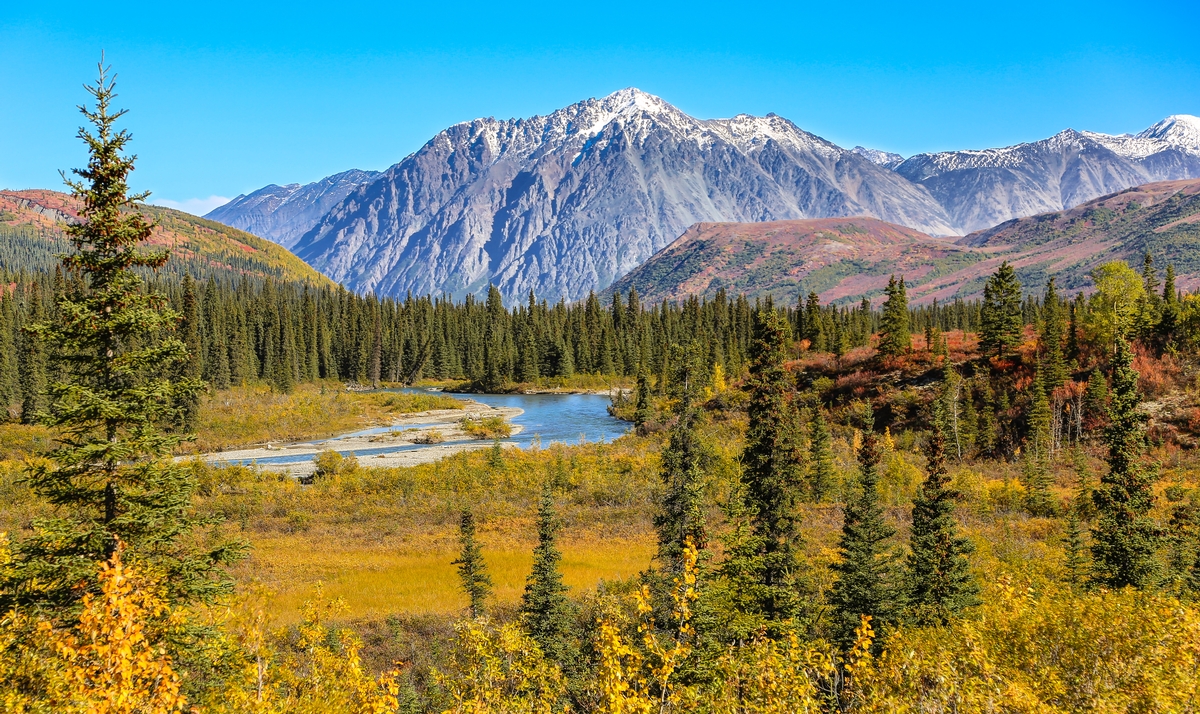 50 Years of Alaska Hunting Experience