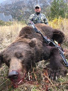 Bear Hunts